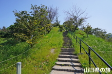 �O�j����