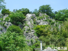 彦山竹林公園