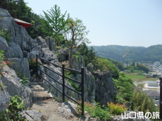 彦山竹林公園
