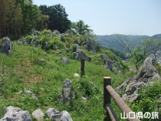 彦山竹林公園