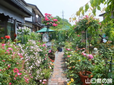 個人宅のバラ園