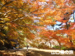 �쌴��