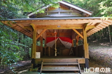 �ǂ����傤�X����