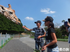 アミメキリンのエサやり体験