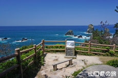 青海島自然研究路のベンチ