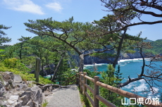 青海島自然研究路