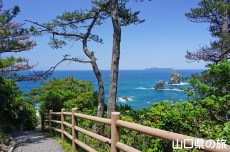 青海島自然研究路