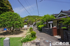 �����i�c�~�J��