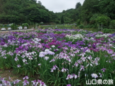 �ѐX�����̏Ҋ���