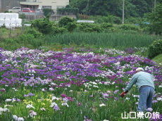 �ѐX�����̏Ҋ���