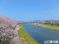 �ό��͐����