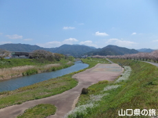 �ό��͐����