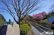 �킽���Ə����Ƃ����Ƃ̎���