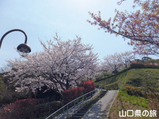 �݂��U�����̍�