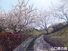 �݂��U�����̍�