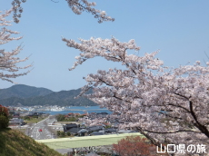 �݂��U�����̍�