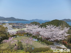 �݂��U�����̍�