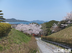 �݂��U�����̍�