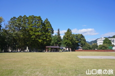 築山跡史跡公園