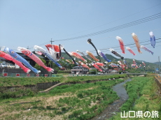 �m�ۂ̂����̂ڂ�