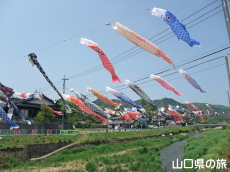 �m�ۂ̂����̂ڂ�