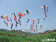 �m�ۂ̂����̂ڂ�