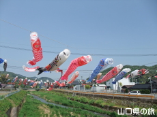 �m�ۂ̂����̂ڂ�