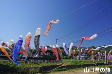 �m�ۂ̂����̂ڂ�