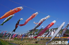 �m�ۂ̂����̂ڂ�