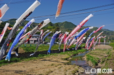 �m�ۂ̂����̂ڂ�