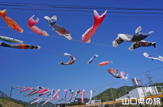 �m�ۂ̂����̂ڂ�