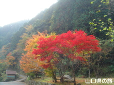 木谷峡の紅葉