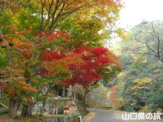 木谷峡の紅葉