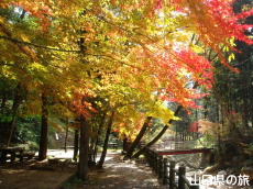 寂地峡の紅葉