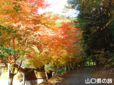 寂地峡の紅葉