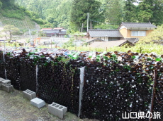 江龍寺の俊道様
