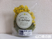 ͂Ȃ[̉Ԃӂ肩
