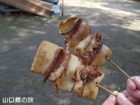 いか焼き(椿群生林)