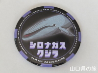 シロナガスクジラ