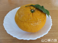 柑乃雫