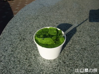 サラダほうれん草のシャーベット