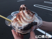 艮̃[[ptFij