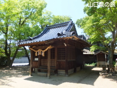 qan