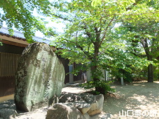 qan