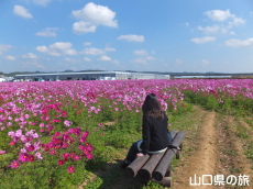 �Ԃ̊C�̃R�X���X