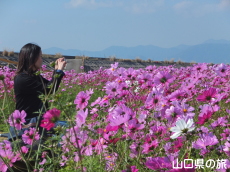 �R�X���X�Ɨ����_