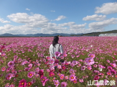 �Ԃ̊C�̃R�X���X