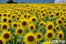 Ԃ̊ĈЂ܂2024