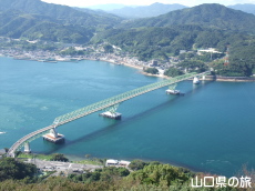 т̎RW]䂩璭߂哇勴