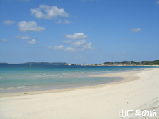 土井ヶ浜海水浴場